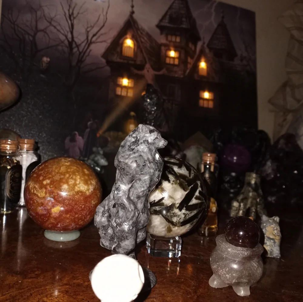 Contest - Picture 4 of 10